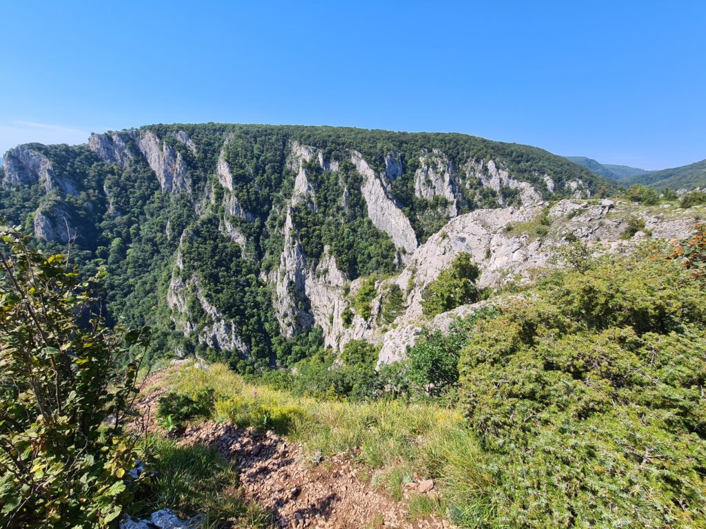 Summer panorama of a canyon's one side, offering breathtaking views of spectacular rock formations.