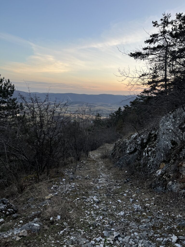 A mesmerizing sunset in a forest setting, casting warm hues over a picturesque rocky path, perfect for trail running.